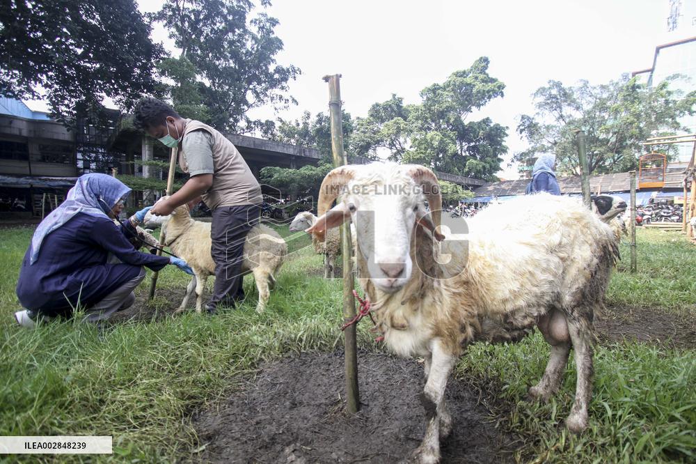 INDONESIA-BOGOR-LIVESTOCK