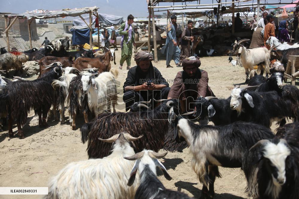 Eid al-Adha Preparations In The Muslim World