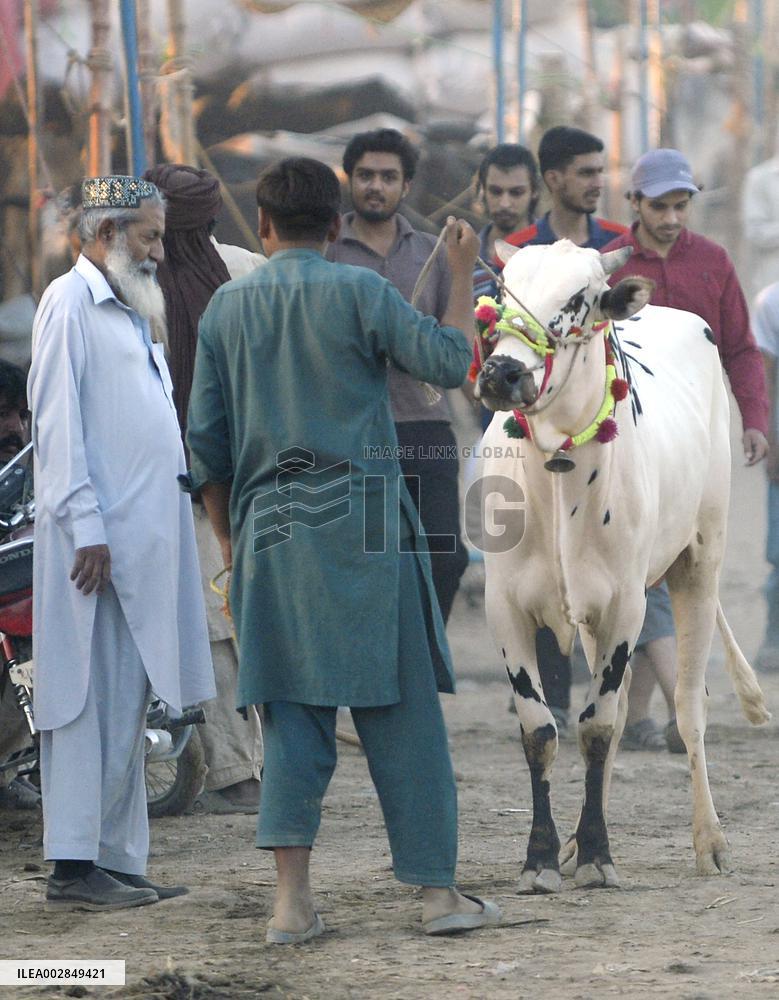 PAKISTAN-ISLAMABAD-EID AL-ADHA-ANIMAL-MARKET