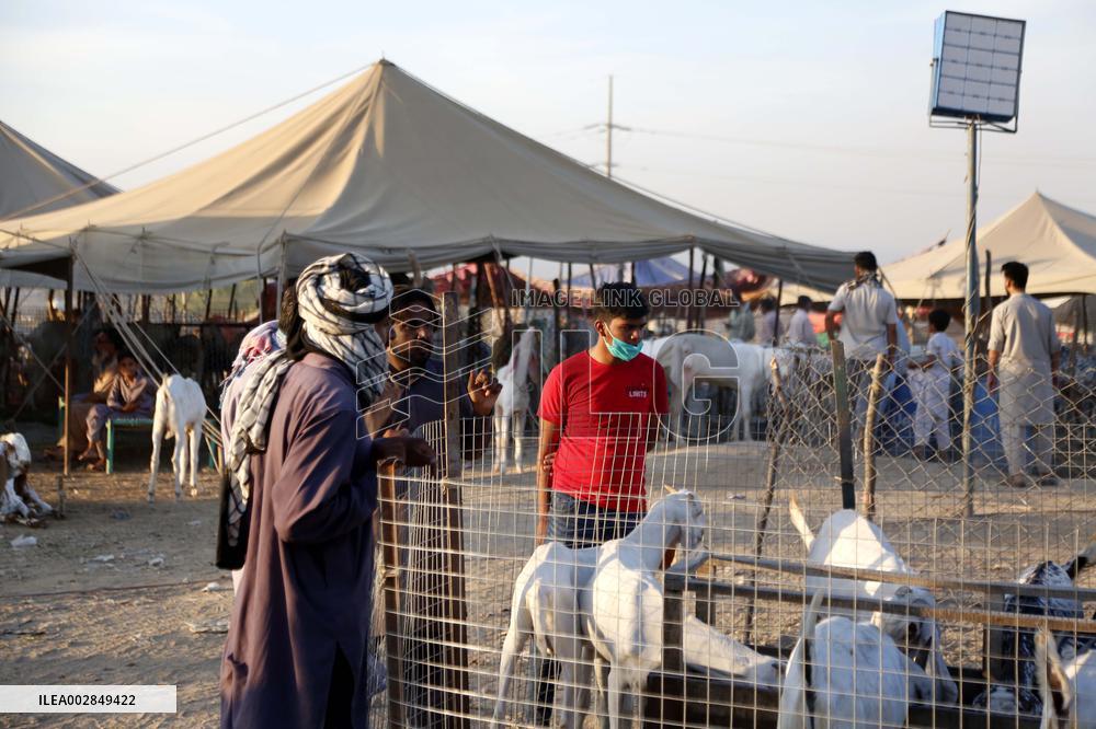 PAKISTAN-ISLAMABAD-EID AL-ADHA-ANIMAL-MARKET