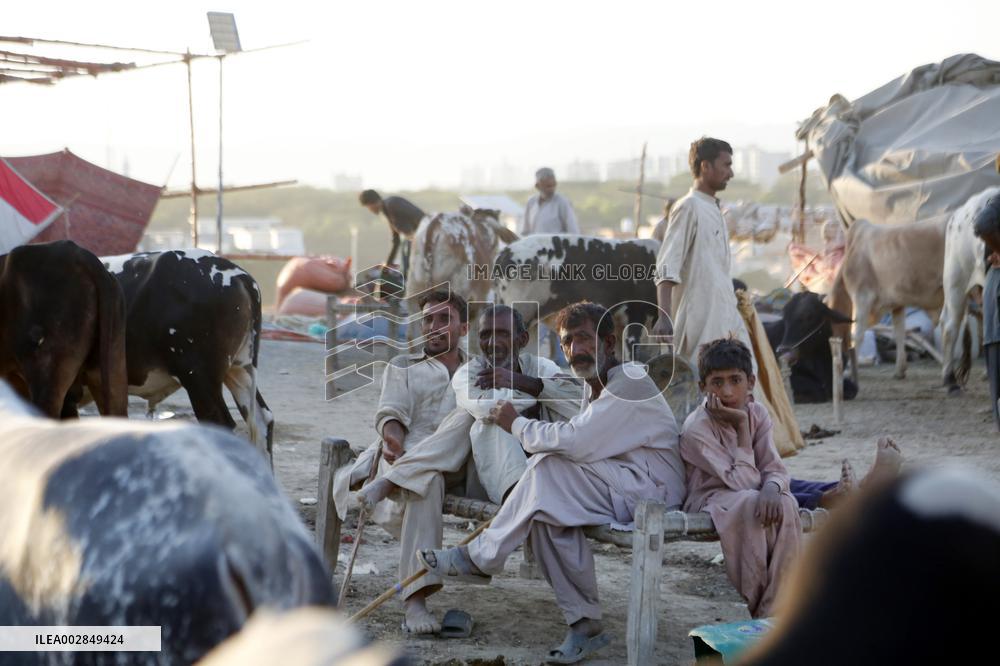 PAKISTAN-ISLAMABAD-EID AL-ADHA-ANIMAL-MARKET
