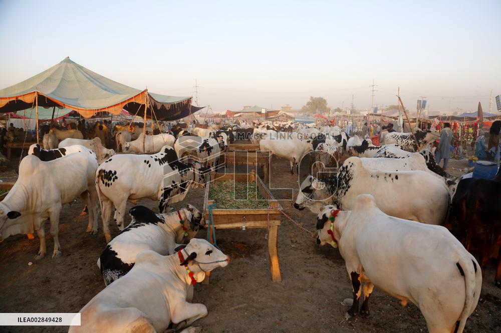 PAKISTAN-ISLAMABAD-EID AL-ADHA-ANIMAL-MARKET