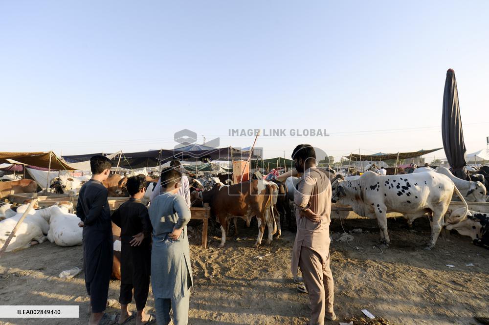 PAKISTAN-ISLAMABAD-EID AL-ADHA-ANIMAL-MARKET