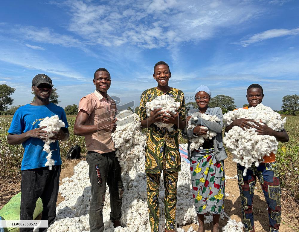 BENIN-PARAKOU-CHINESE TECHNOLOGY-COTTON PRODUCTION