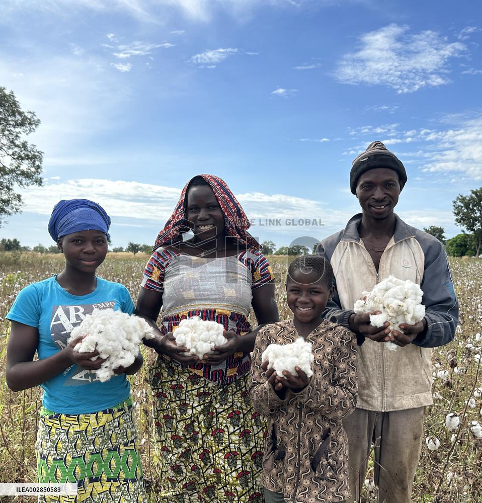 BENIN-PARAKOU-CHINESE TECHNOLOGY-COTTON PRODUCTION