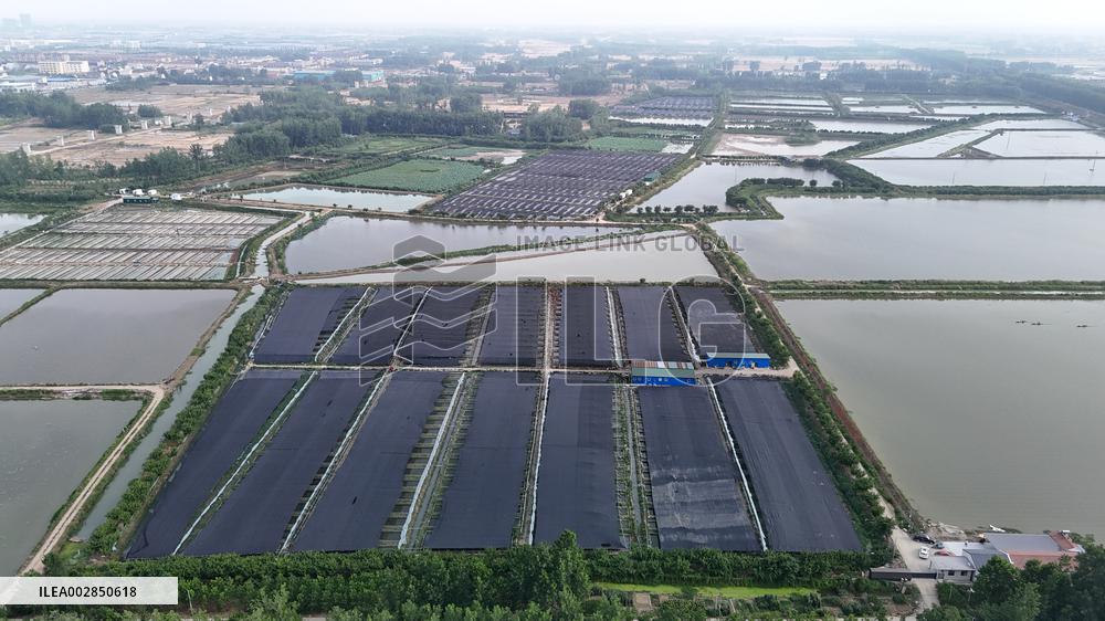 Aquaculture Heatstroke Prevention