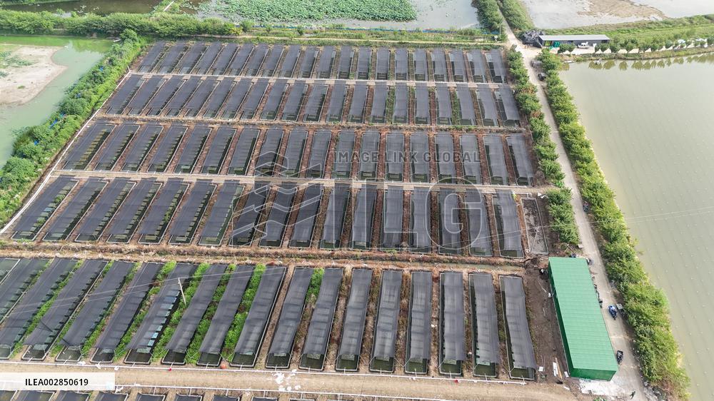 Aquaculture Heatstroke Prevention