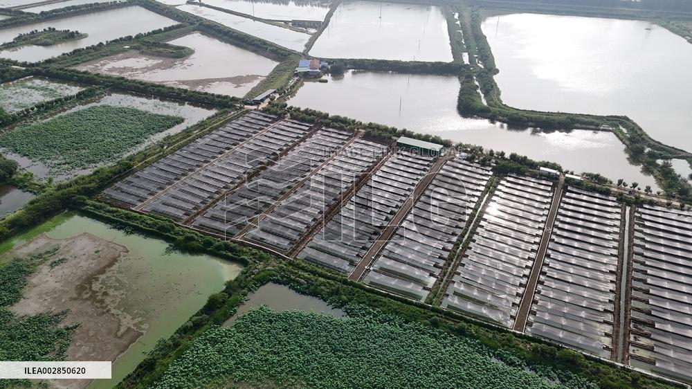 Aquaculture Heatstroke Prevention