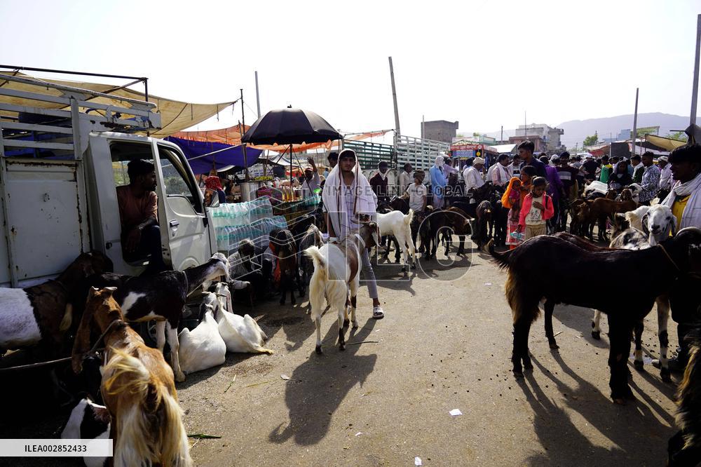 Goat Sellers Before The Muslim Festival Of Eid Al-Adha - India