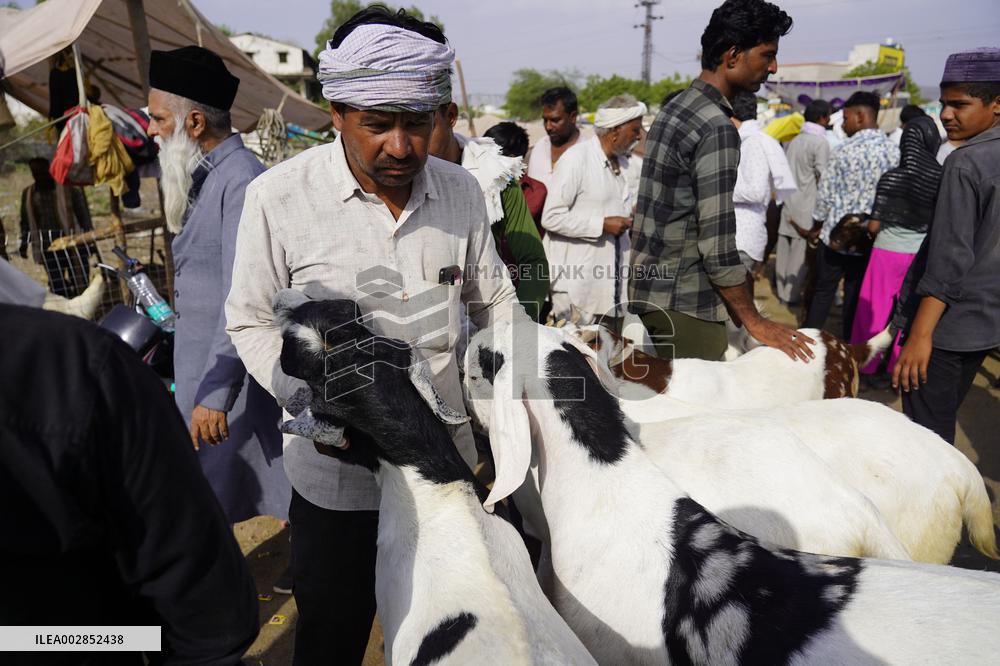 Goat Sellers Before The Muslim Festival Of Eid Al-Adha - India