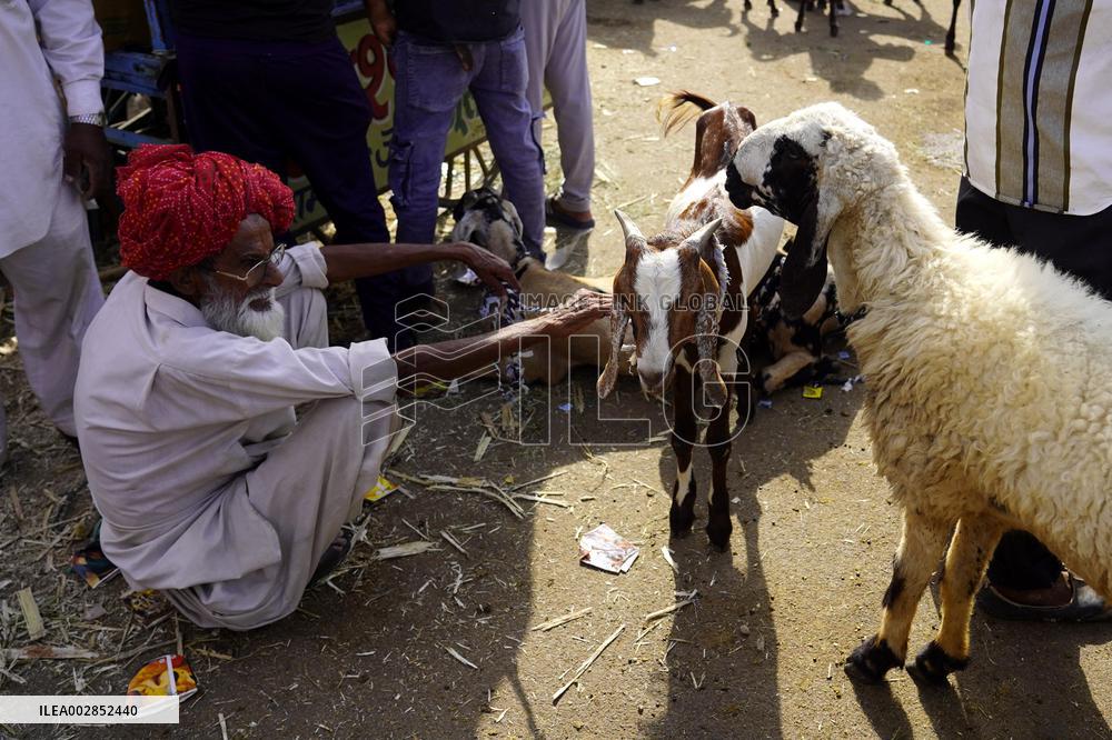Goat Sellers Before The Muslim Festival Of Eid Al-Adha - India