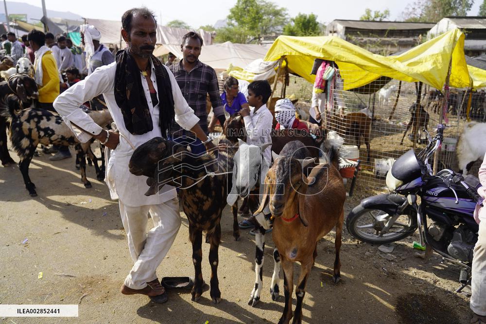 Goat Sellers Before The Muslim Festival Of Eid Al-Adha - India