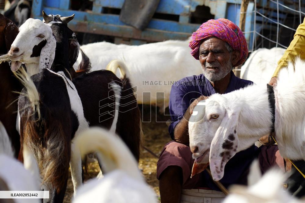 Goat Sellers Before The Muslim Festival Of Eid Al-Adha - India