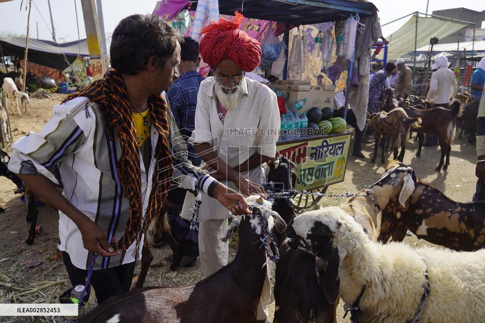 Goat Sellers Before The Muslim Festival Of Eid Al-Adha - India