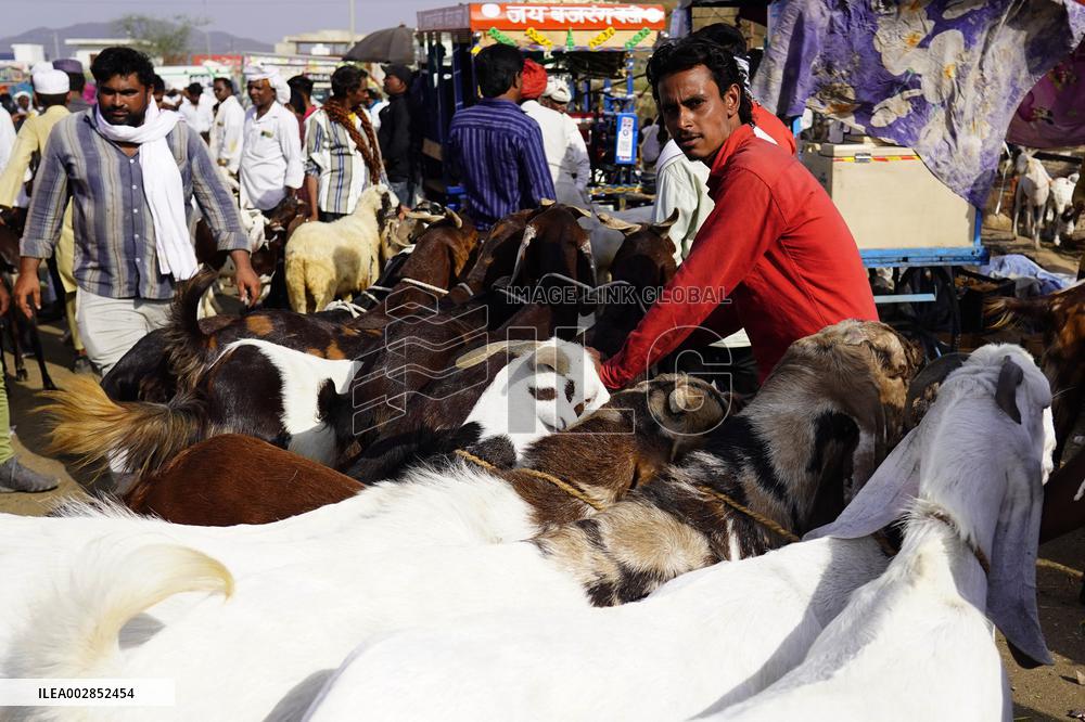 Goat Sellers Before The Muslim Festival Of Eid Al-Adha - India