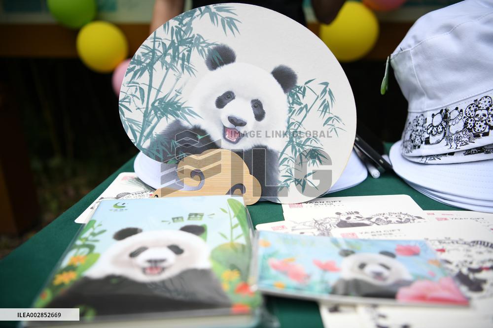 (SichuanMosaics)CHINA-SICHUAN-YA'AN-PANDA XIANG XIANG-7TH BIRTHDAY (CN)