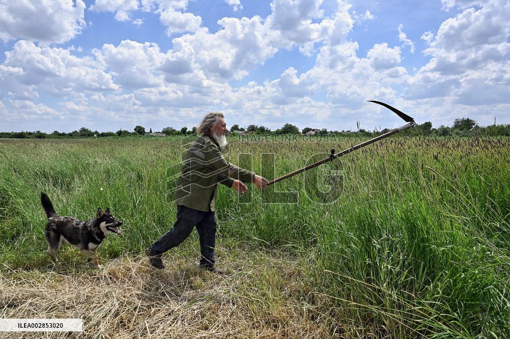 Pensioner cares for 50 goats in frontline Orikhiv