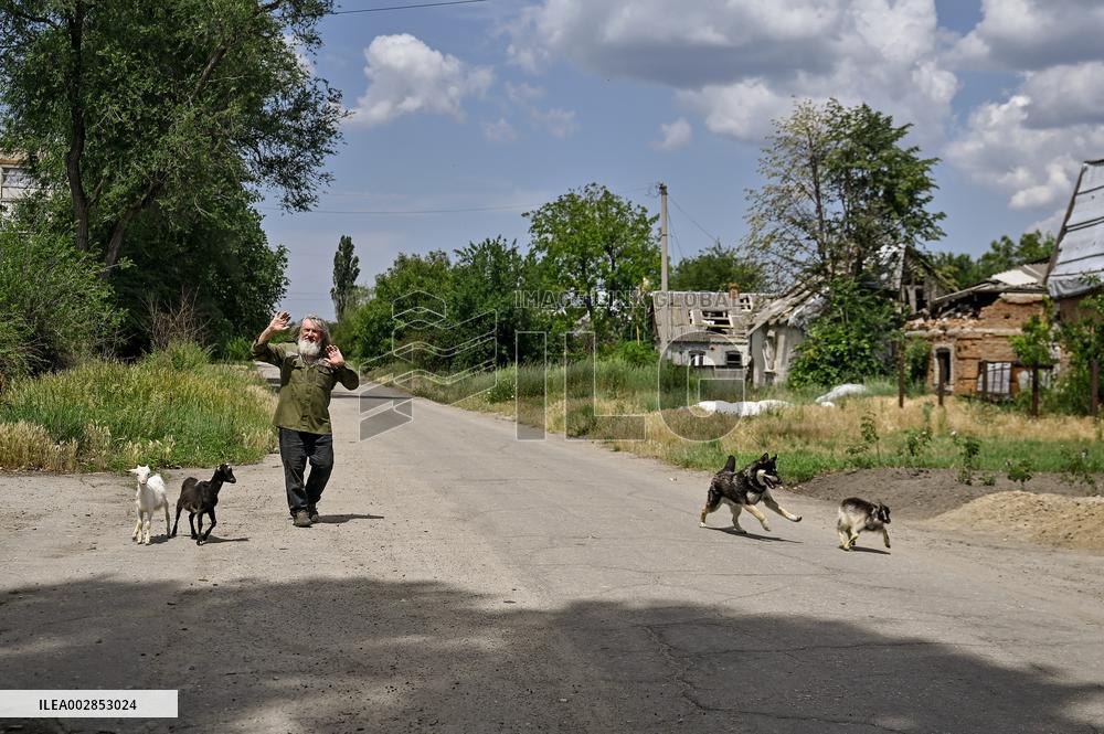 Pensioner cares for 50 goats in frontline Orikhiv