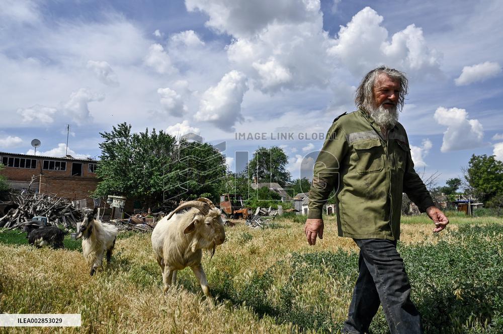 Pensioner cares for 50 goats in frontline Orikhiv