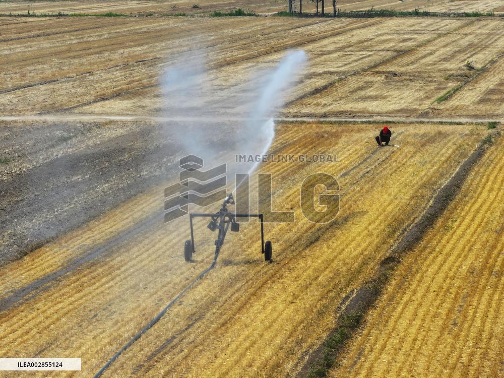 Agricultural Drought Resistance in Liaocheng