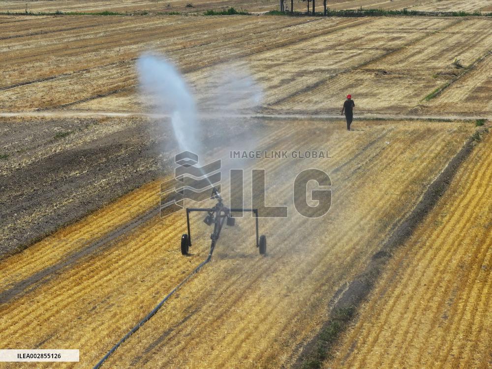 Agricultural Drought Resistance in Liaocheng
