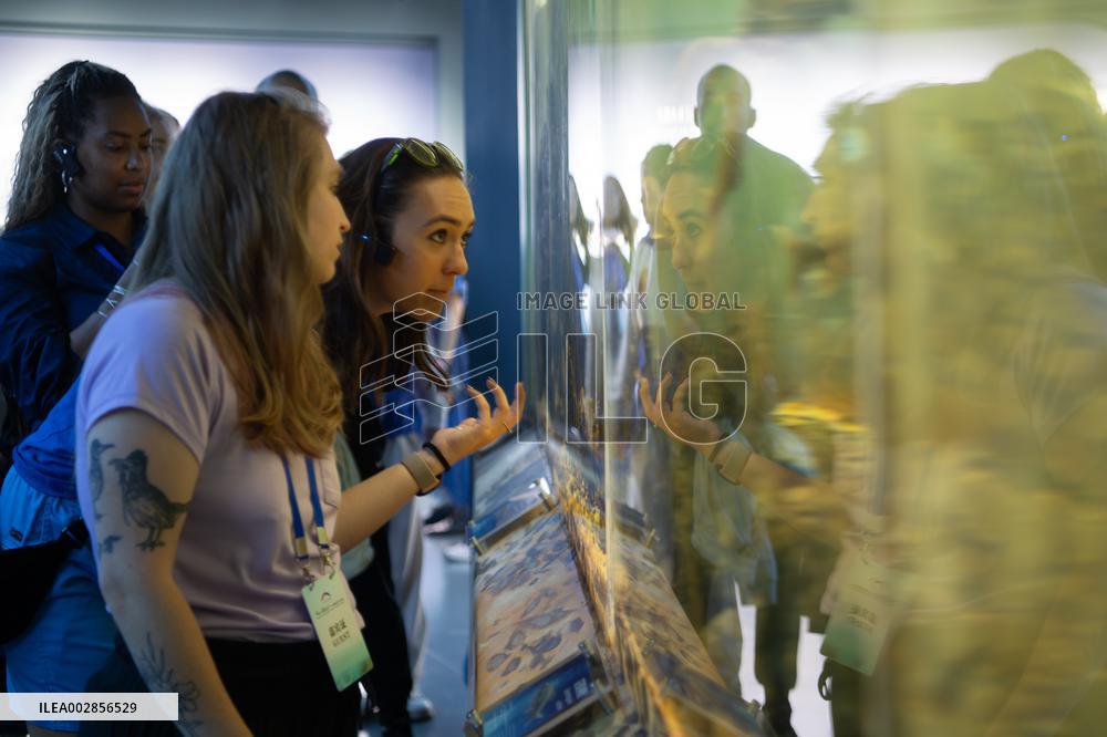 CHINA-HUBEI-YOUNG AMERICANS-CHINESE CULTURE-EXCHANGE TOUR (CN)