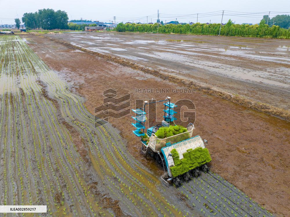 Unmanned Rice Transplanter For Intelligent Rice Transplanting Operations