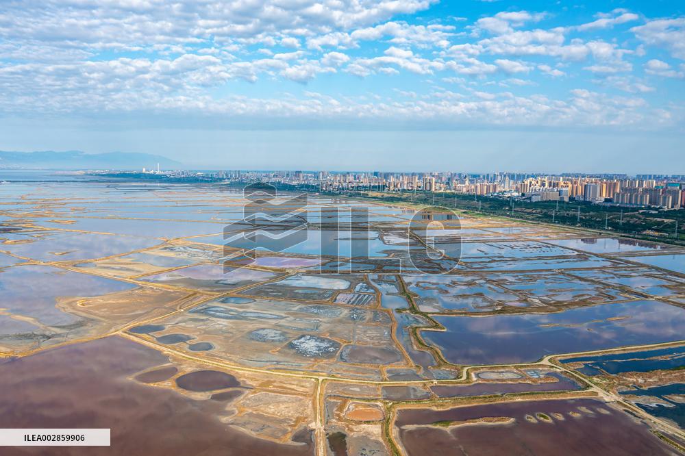 CHINA-SHANXI-YUNCHENG-SALT LAKE-ECOLOGICAL RESTORATION (CN)