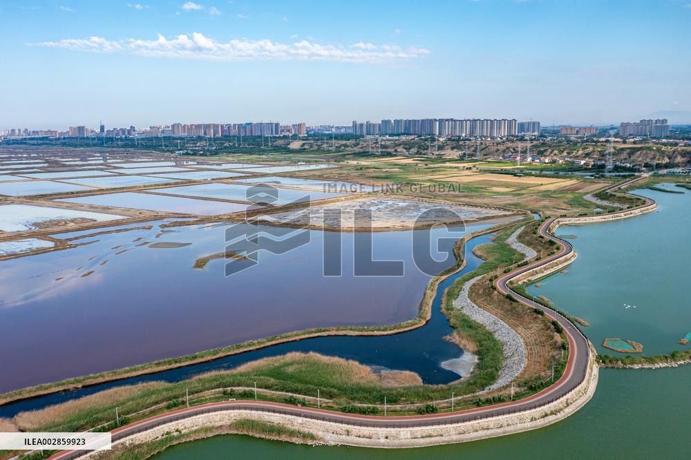 CHINA-SHANXI-YUNCHENG-SALT LAKE-ECOLOGICAL RESTORATION (CN)