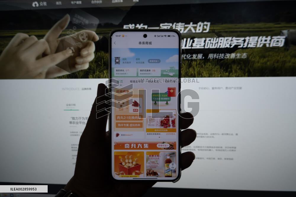 Wealth Management Platform Zhongmubao