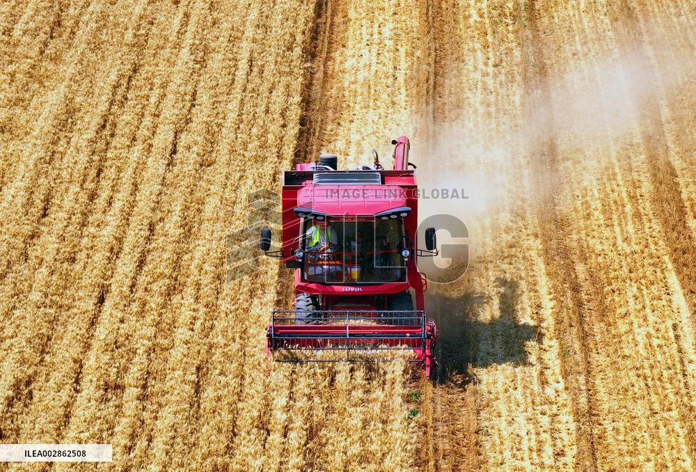 XINHUA PHOTOS OF THE DAY