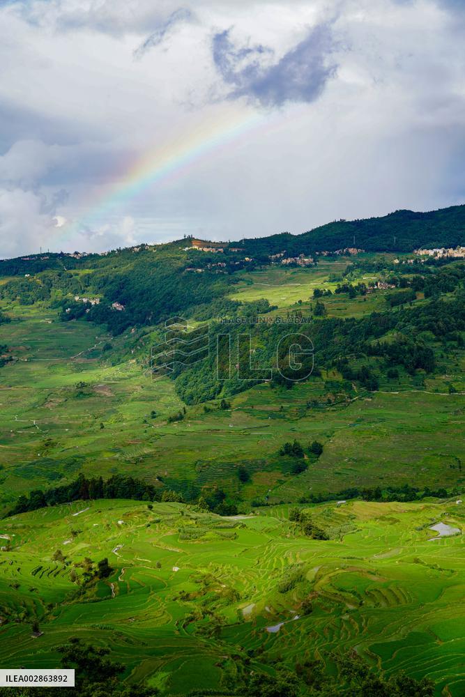 CHINA-YUNNAN-HANI TERRACED FIELDS-SCENERY (CN)