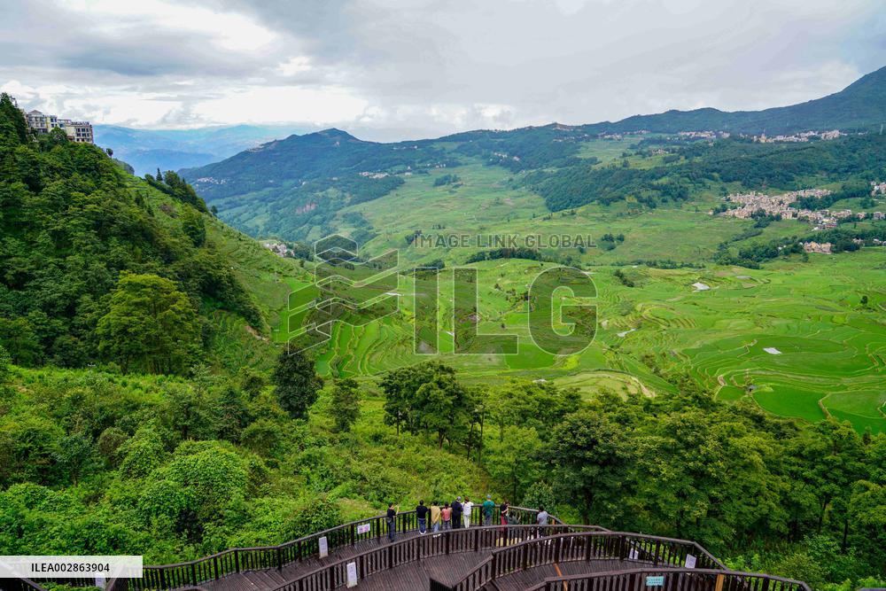 CHINA-YUNNAN-HANI TERRACED FIELDS-SCENERY (CN)