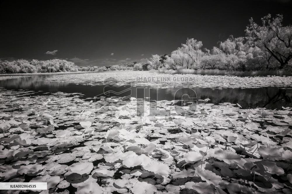 CHINA-BEIJING-SUMMER PALACE-SCENERY-INFRARED PHOTOGRAPHY (CN)