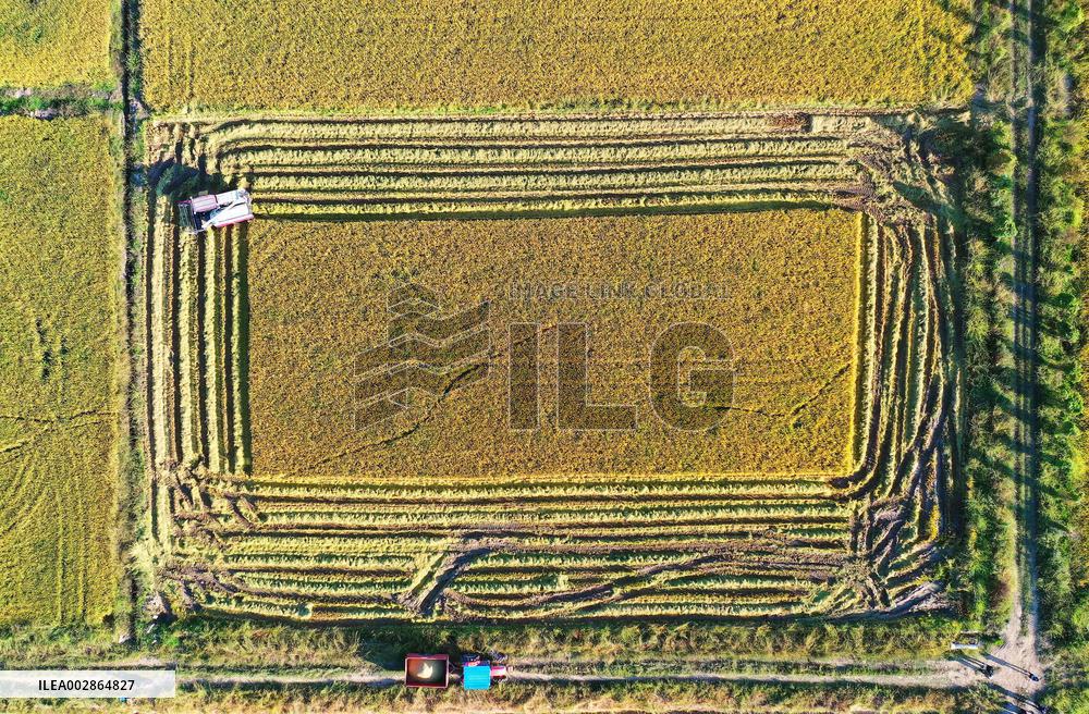 CHINA-CENTRAL REGION-DEVELOPMENT-INTELLIGENT LEVEL (CN)