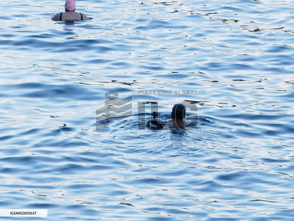 A Wild Duck Accompanied An Old Man Swimming