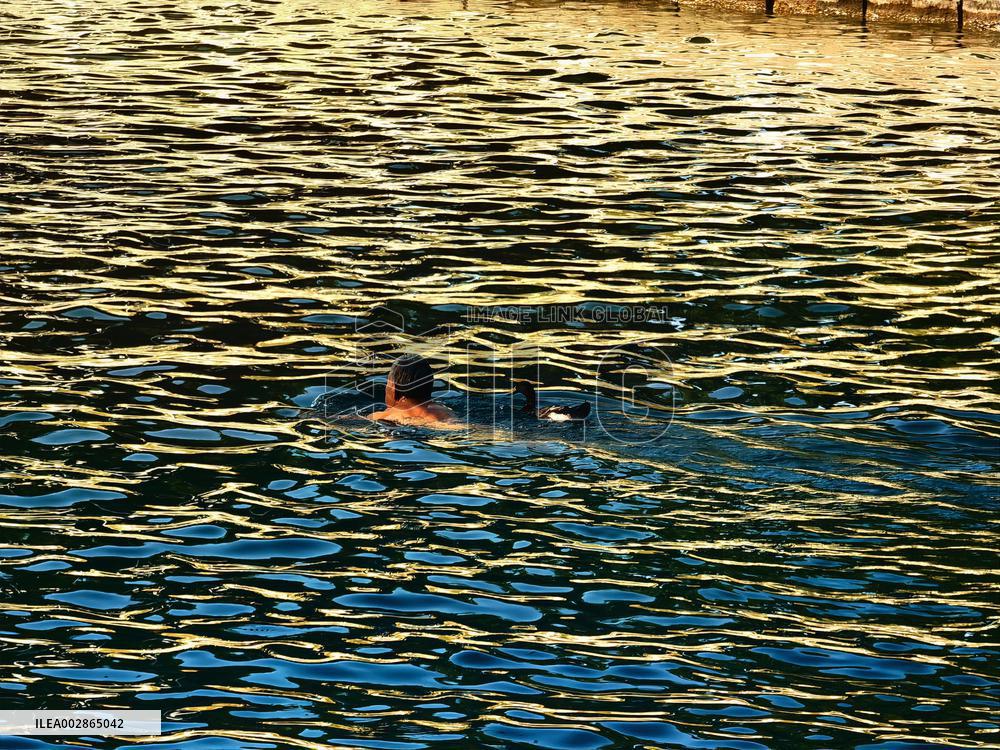 A Wild Duck Accompanied An Old Man Swimming