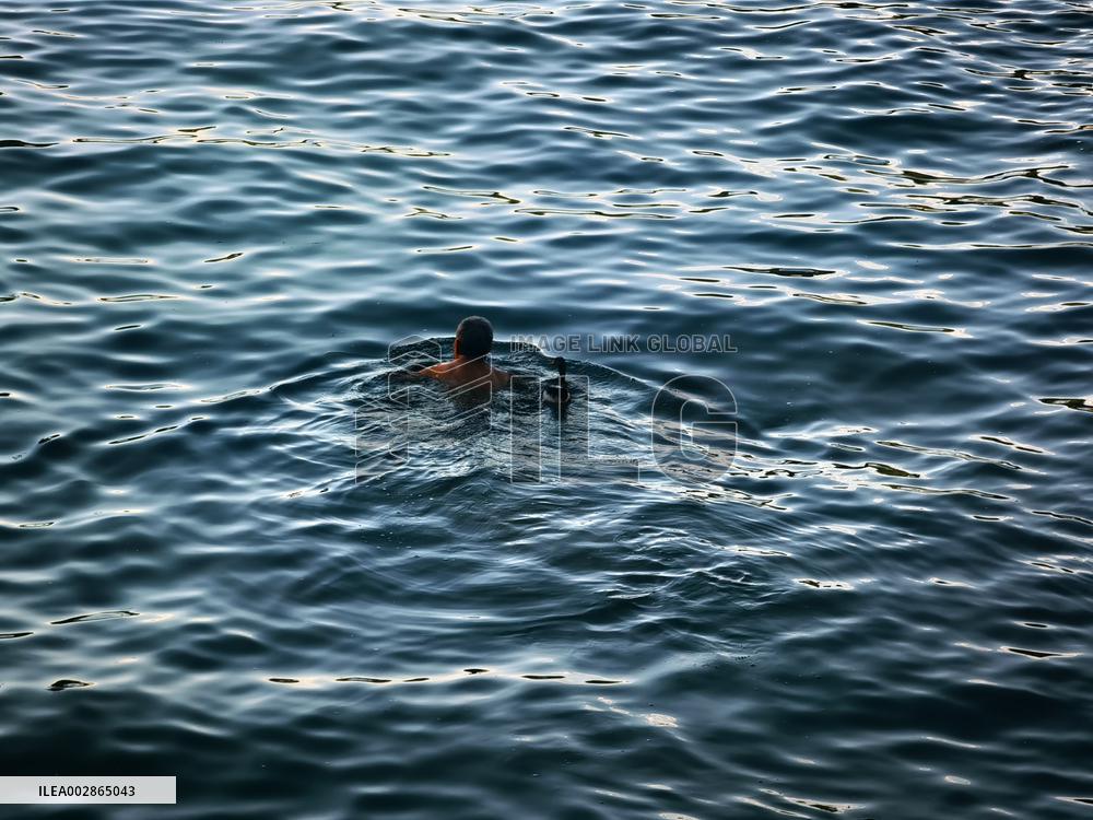 A Wild Duck Accompanied An Old Man Swimming