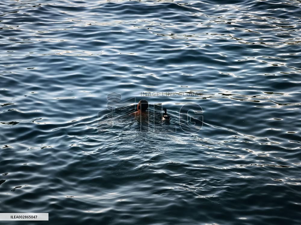 A Wild Duck Accompanied An Old Man Swimming