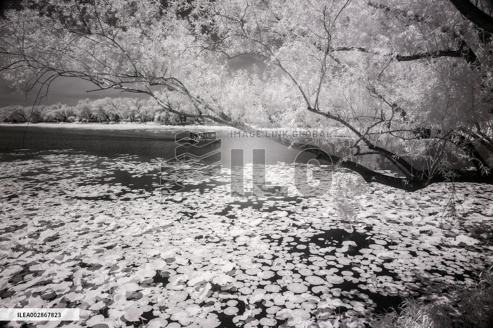 XINHUA PHOTOS OF THE DAY