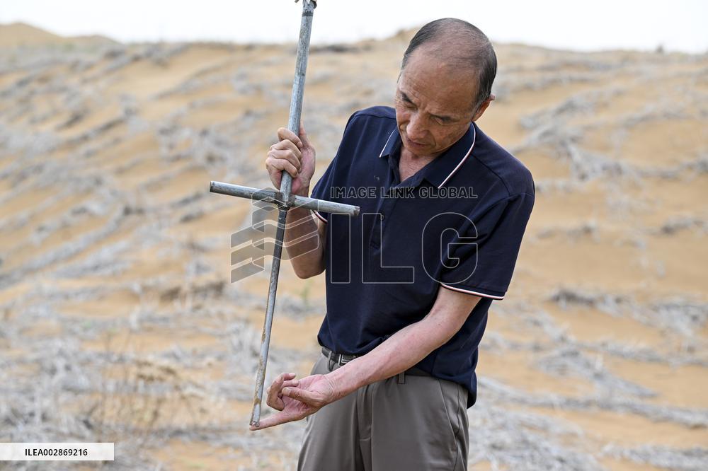 Xinhua Headlines: From surviving to thriving amidst sands, Chinese city fortifies "green Great Wall"