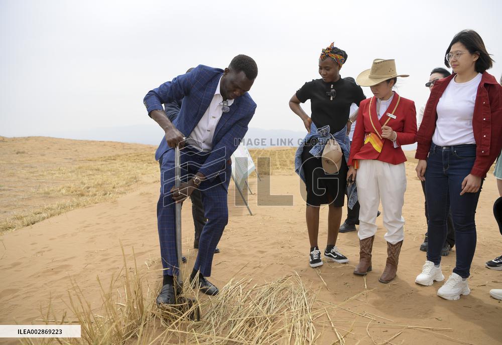 Xinhua Headlines: From surviving to thriving amidst sands, Chinese city fortifies "green Great Wall"