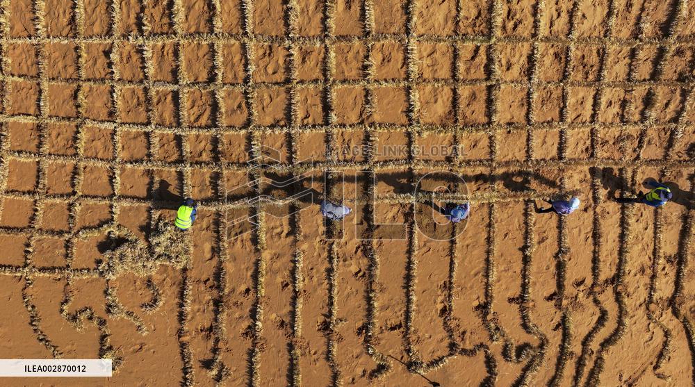 (VistaNingxia)CHINA-NINGXIA-ZHONGWEI-ENVIRONMENT-SAND CONTROL (CN)