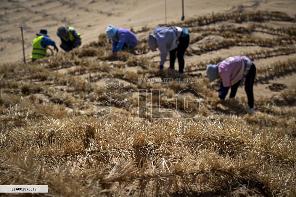(VistaNingxia)CHINA-NINGXIA-ZHONGWEI-ENVIRONMENT-SAND CONTROL (CN)