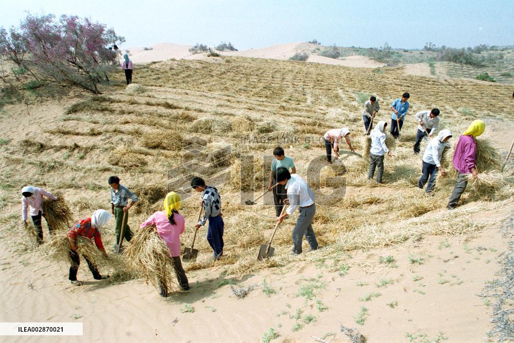 (VistaNingxia)CHINA-NINGXIA-ZHONGWEI-ENVIRONMENT-SAND CONTROL (CN)