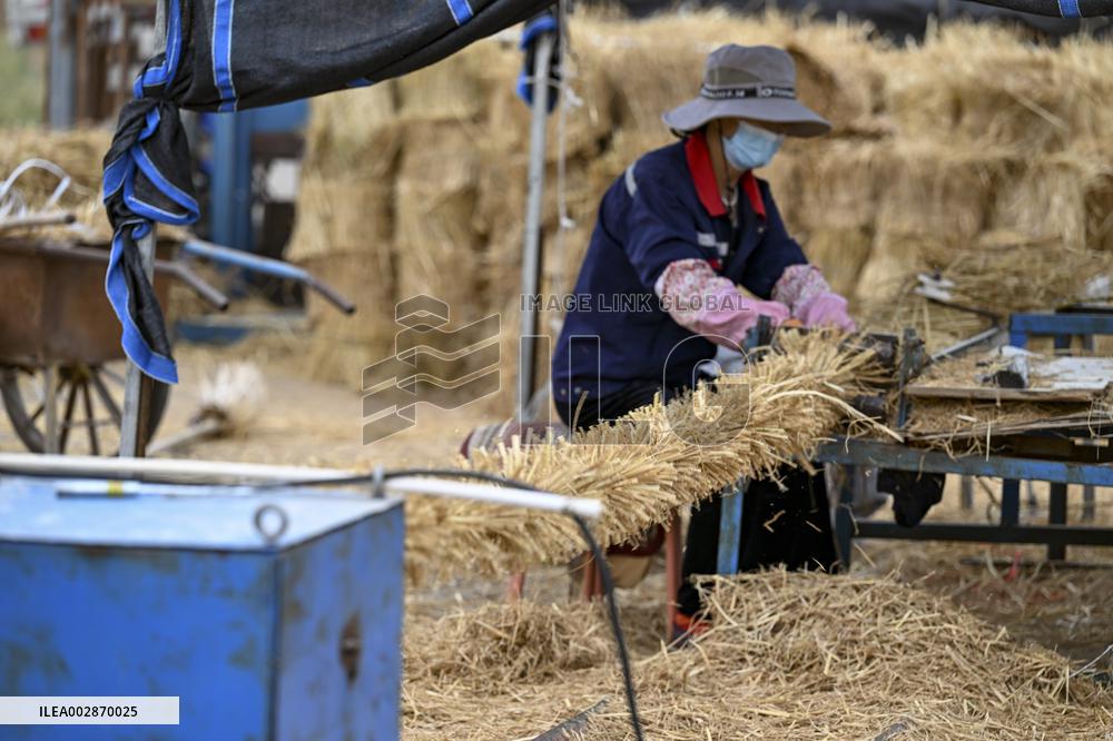 (VistaNingxia)CHINA-NINGXIA-ZHONGWEI-ENVIRONMENT-SAND CONTROL (CN)