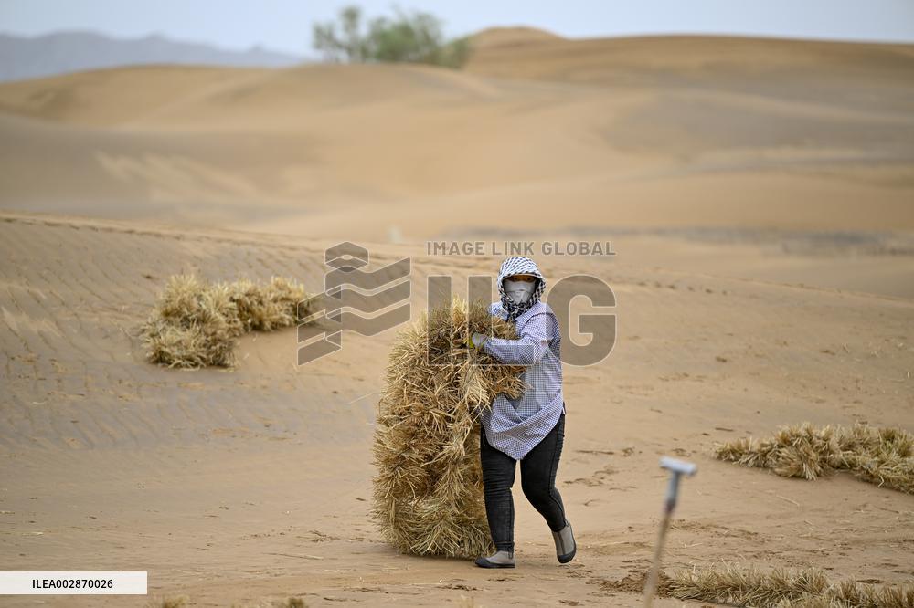 (VistaNingxia)CHINA-NINGXIA-ZHONGWEI-ENVIRONMENT-SAND CONTROL (CN)