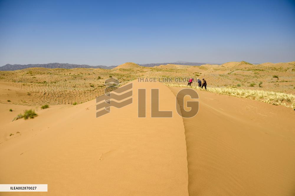 (VistaNingxia)CHINA-NINGXIA-ZHONGWEI-ENVIRONMENT-SAND CONTROL (CN)