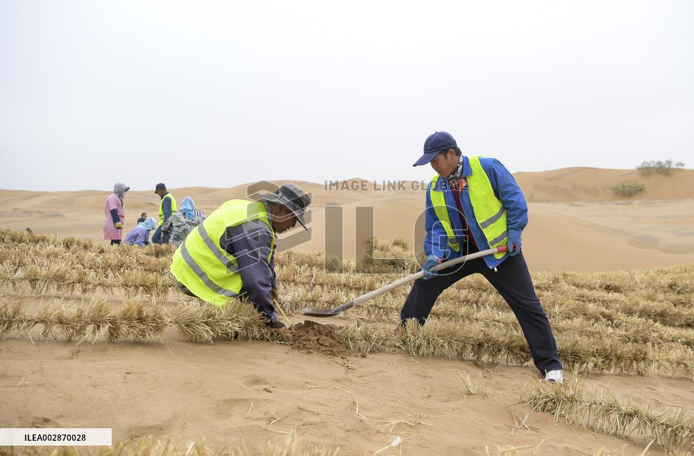 (VistaNingxia)CHINA-NINGXIA-ZHONGWEI-ENVIRONMENT-SAND CONTROL (CN)