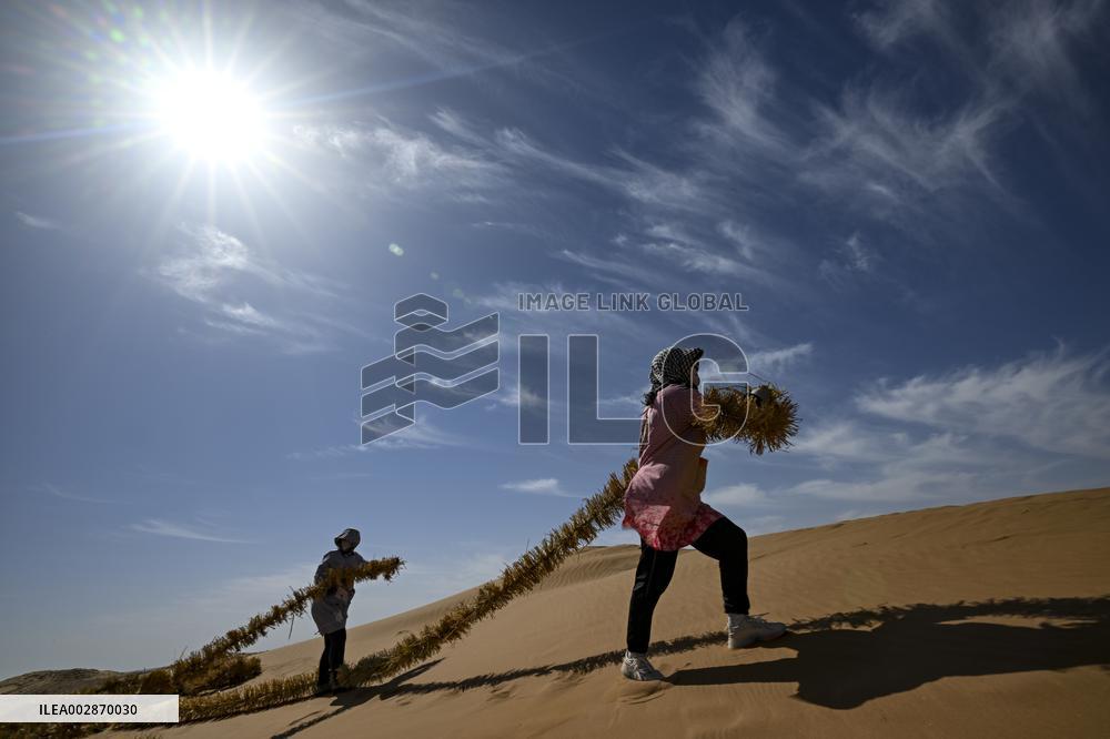 (VistaNingxia)CHINA-NINGXIA-ZHONGWEI-ENVIRONMENT-SAND CONTROL (CN)